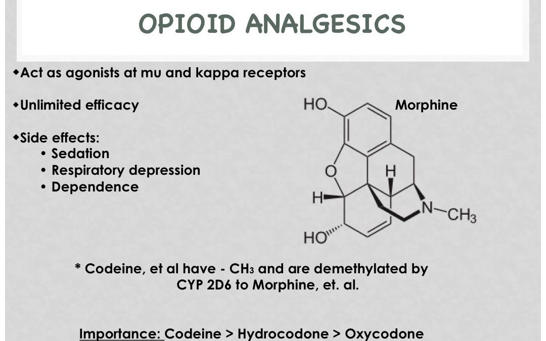 OPIOID ANALGESICS