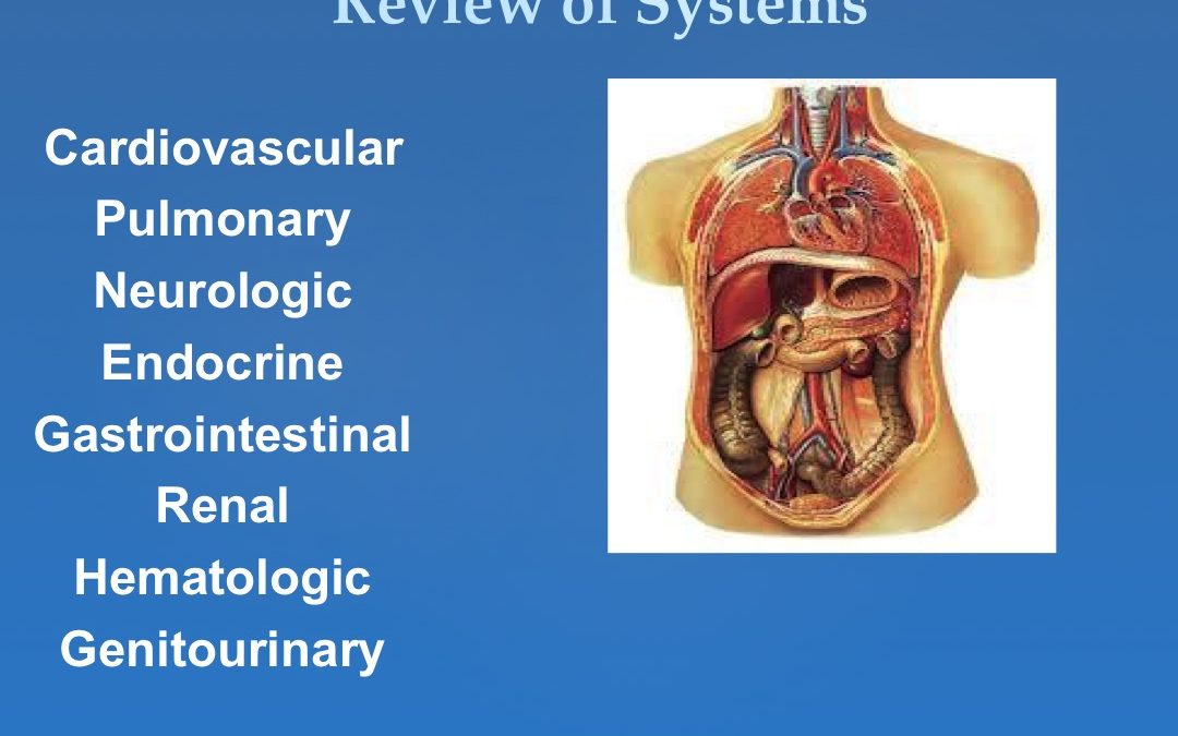 Slide031