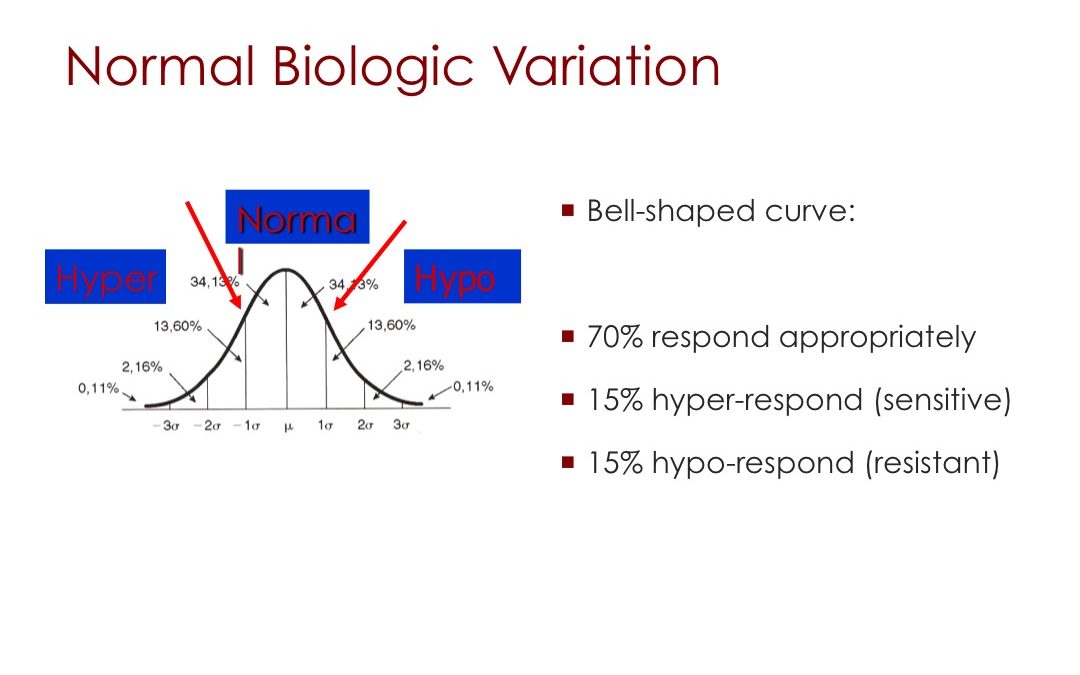 Slide034