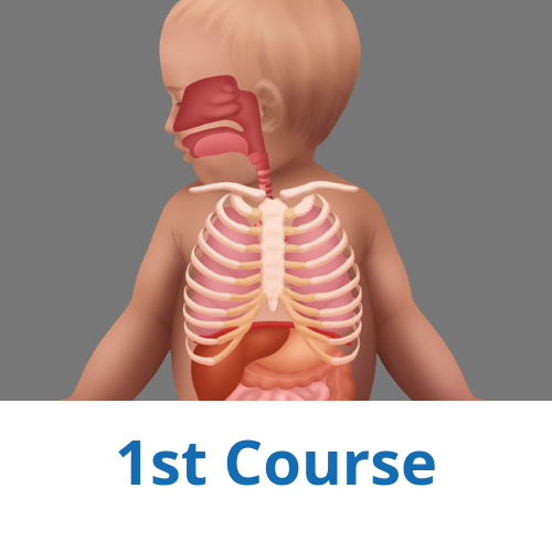 1st Course Pediatrics Anatomy And Physiology Southwest Sedation 1st-course-pediatrics-anatomy-and-physiology-southwest-sedation
