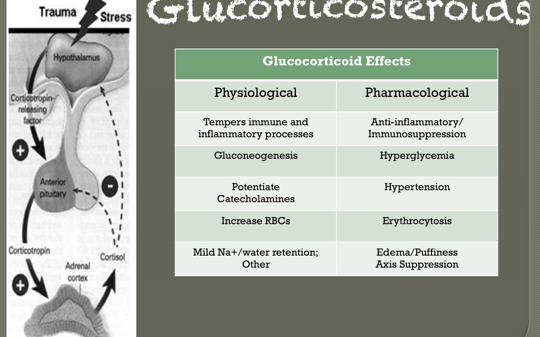 Slide66